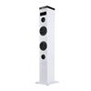 TORRE SOM NGS BT/FM 50W-SKYCHARMWH