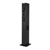 TORRE SOM NGS BT/FM   -SKYCHARM2.1